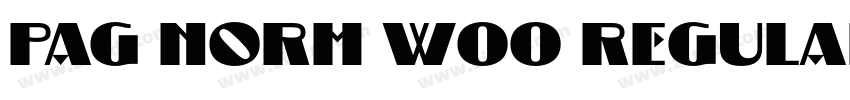 PAG Norm W00 Regular字体转换 PAG Norm W00 Regular字体转换